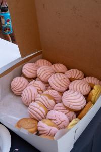 Pink Conchas